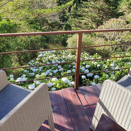 アラフエラ Quinta Esenciaヴィラ エクステリア 写真