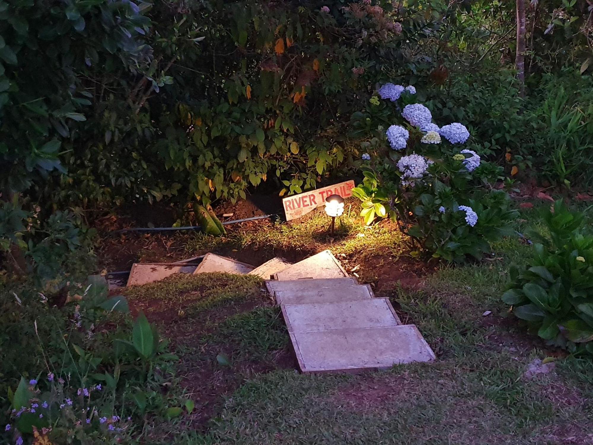 アラフエラ Quinta Esenciaヴィラ エクステリア 写真